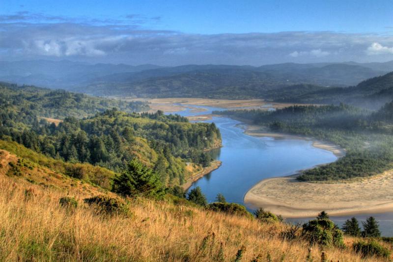 Restoring the River Salmon Estuary Habitat
